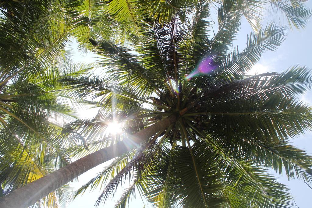 Huraa East Inn Exterior photo